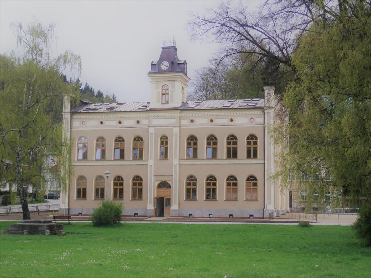 Pod Strechou Appartement Svoboda nad Úpou Buitenkant foto