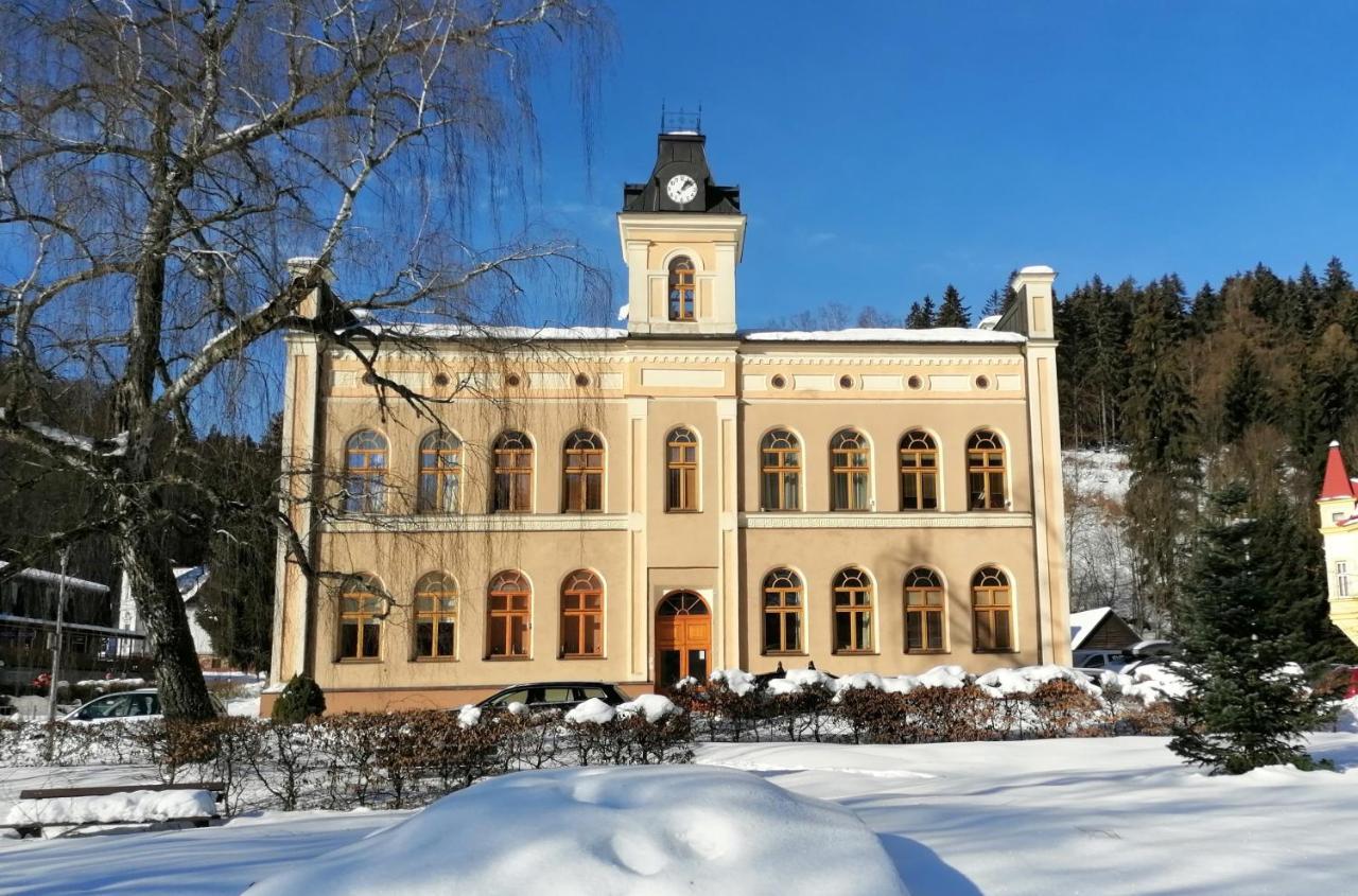 Pod Strechou Appartement Svoboda nad Úpou Buitenkant foto